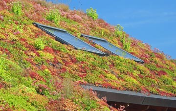 Hillswick living roof systems
